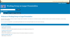 Desktop Screenshot of cenozoicforaminifera.com